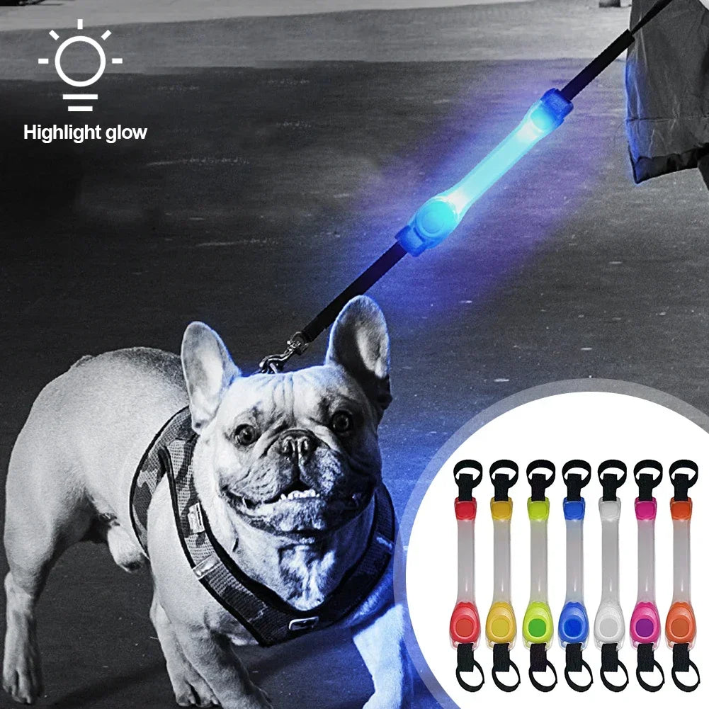 Waterproof Dog Anti Lost Safety Glowing Collar With LED Light