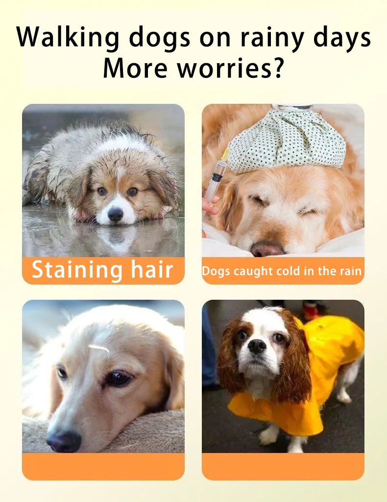 Transparent Waterproof Dog Raincoat With Hat