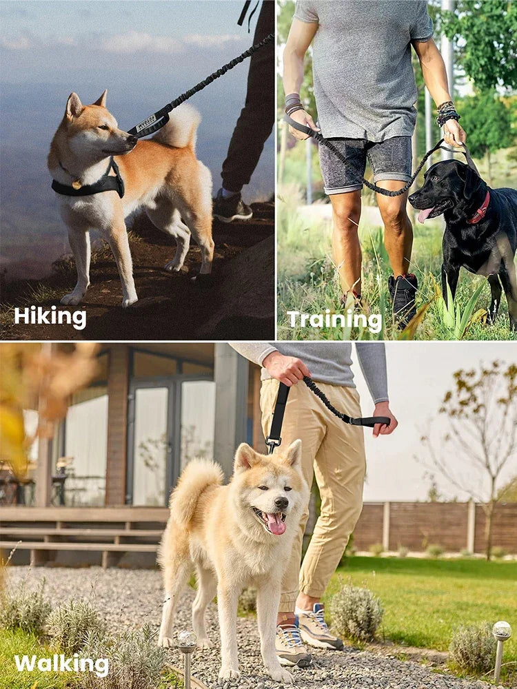 Adjustable Tactical Dog Leash With Dual Handles From Military Grade Nylon