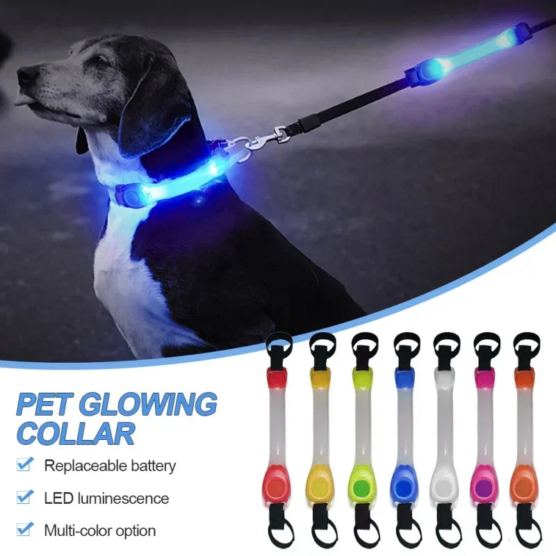 Waterproof Dog Anti Lost Safety Glowing Collar With LED Light