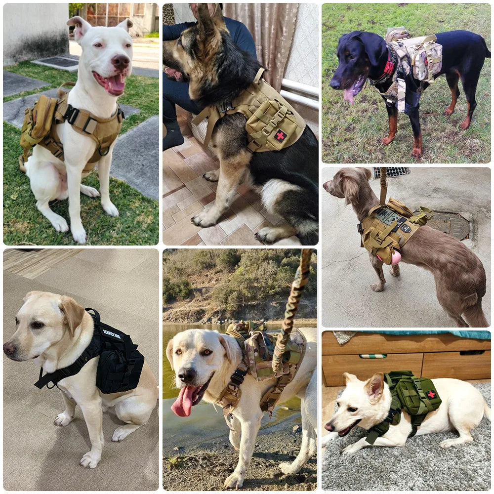 PETRAVEL CN Dog Tactical Bags Set Molle Pouches for Harness Training