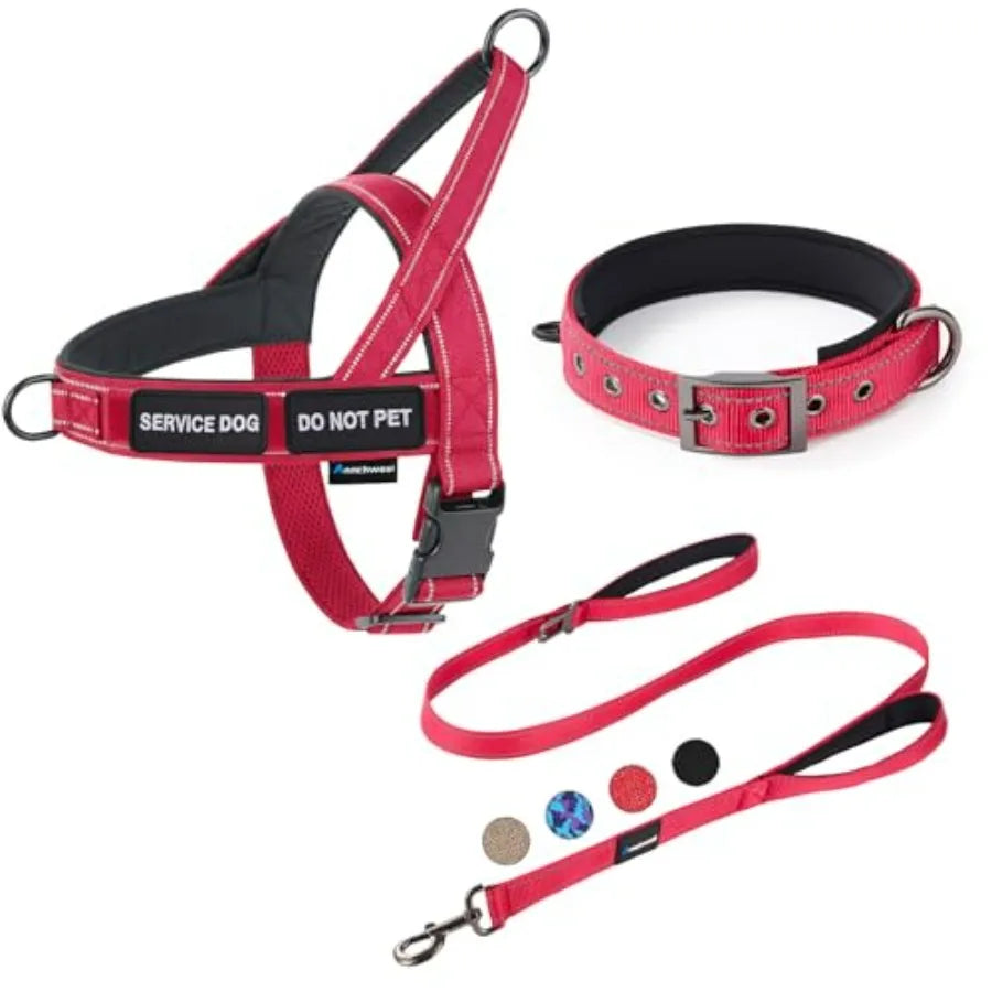 No Pull Dog Harness And Leash Set With Double Handle