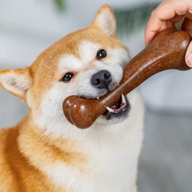 Natural Wooden Indestructible Dog Chew Toy For Puppies