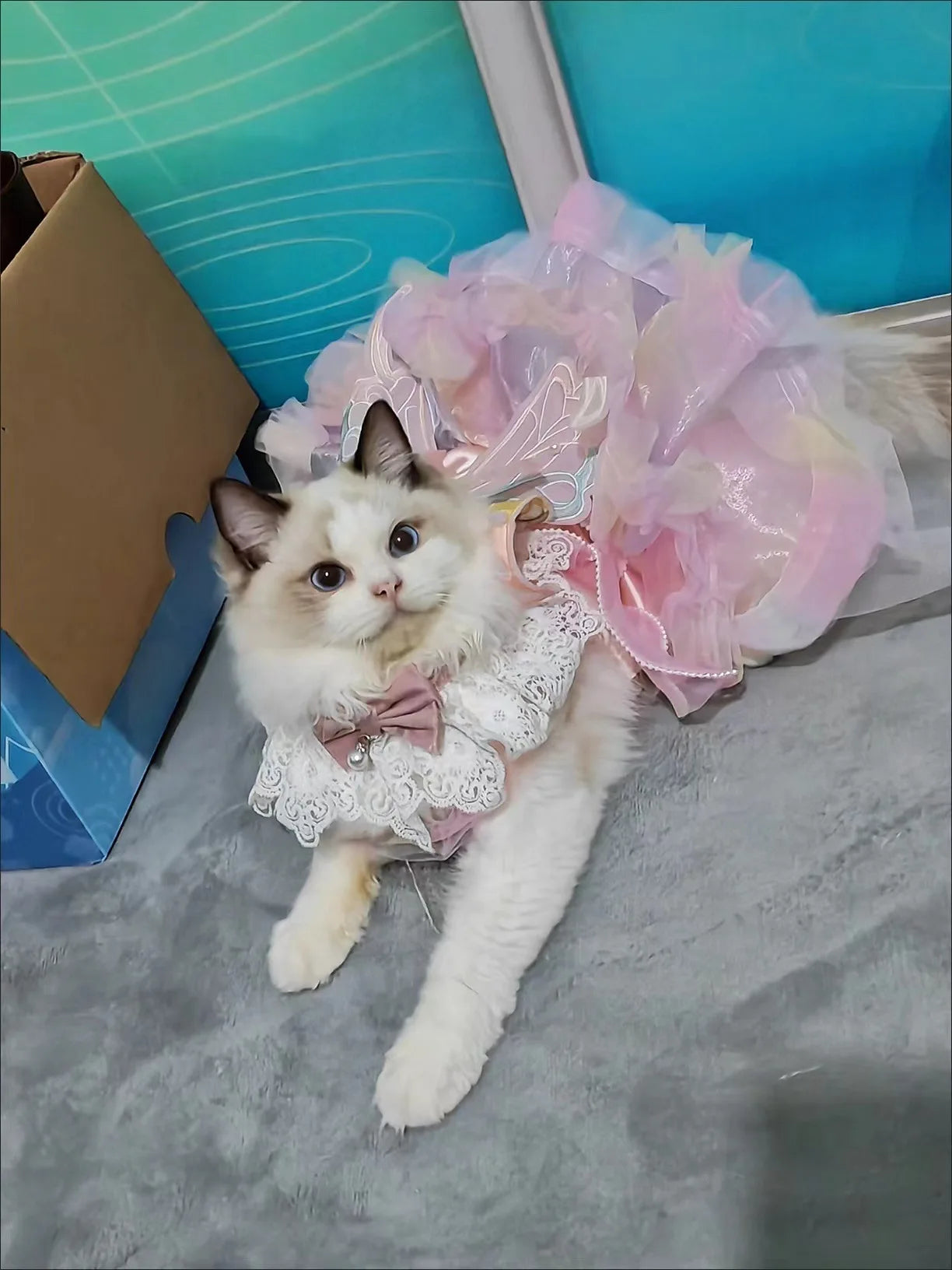 Dog Cat spring princess Dress Lace Skirt Pet Clothing Stripe Skirt Puppy Princess Apparel Cute Puppy Clothes Pet cat clothes