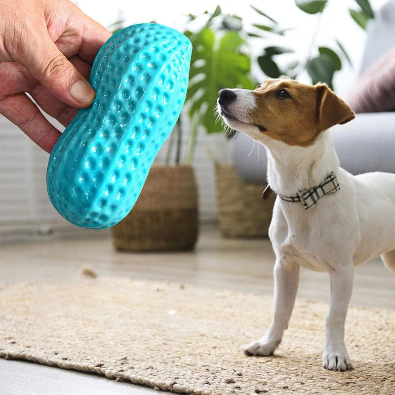 Dog Peanut Squeaking Chew Toy TPR Rubber Interactive Pet Toy