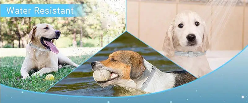 Dog Cat Calming Collar For Anxiety Relief Breakaway Quick Release