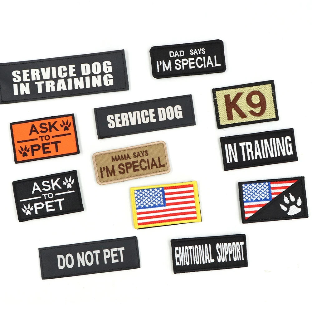 Military Tactical Malinois Harness Vest Set With Leash Patches - Paws and Pro's Outfitters