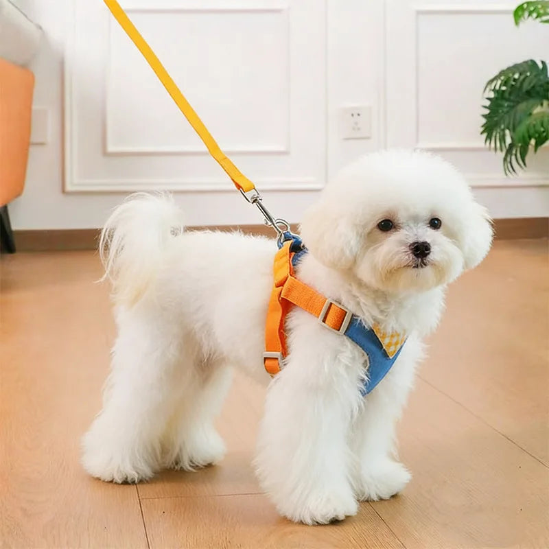 Cowboy Style Dog Harness And Leash Set Adjustable Pet Accessory