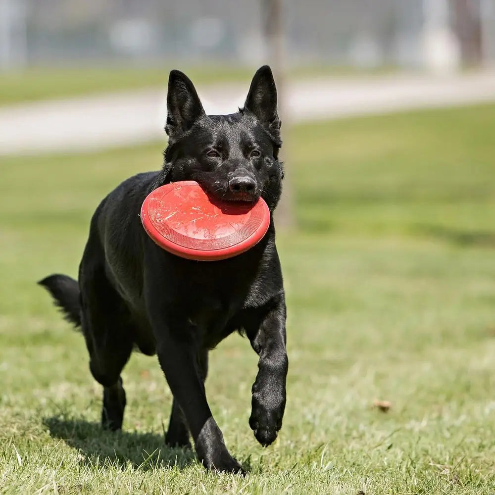 Durable Natural Rubber Disc Dog Toy For Medium And Large Dogs