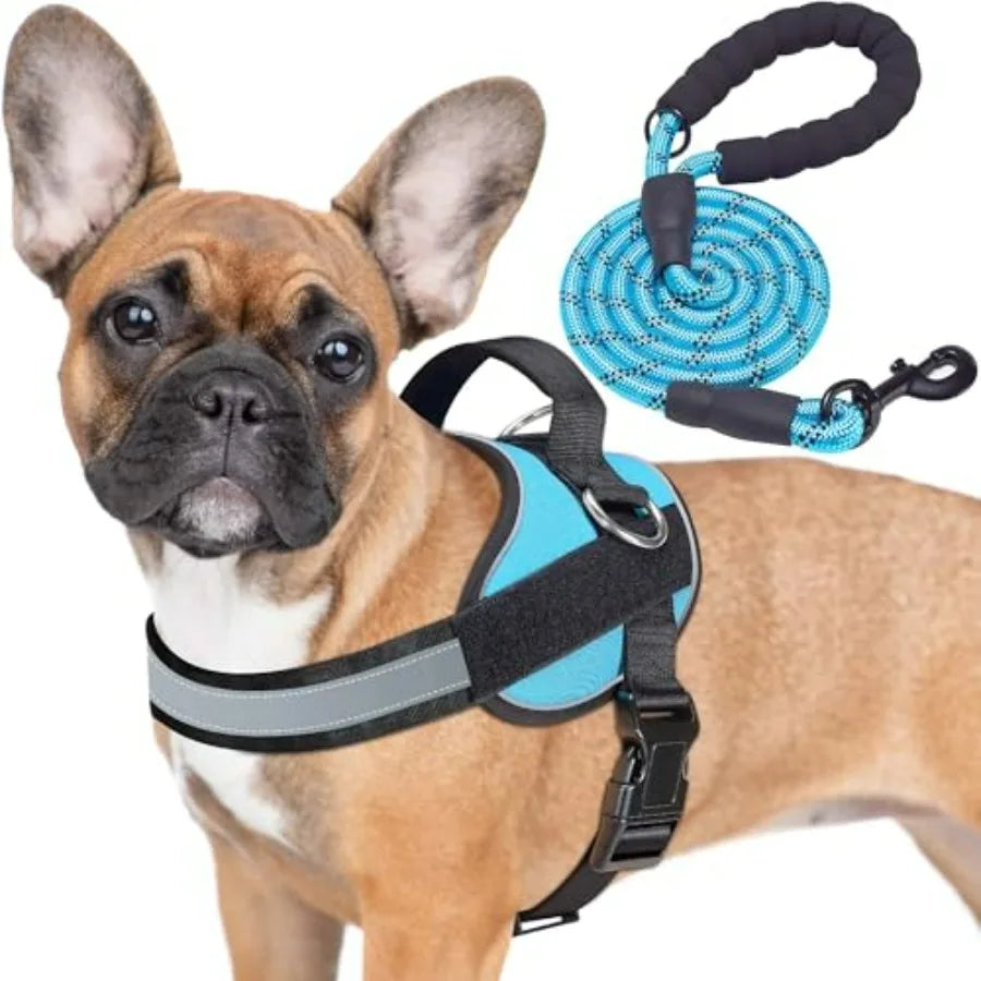 Essential No-Pull Dog Harness Reflective Vest With 3 Leash Clips