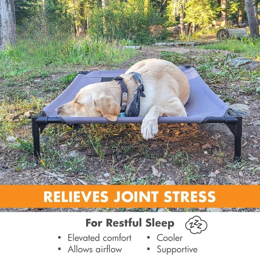 Outdoor Elevated Dog Cot Hammock Bed With Breathable Mesh Cover