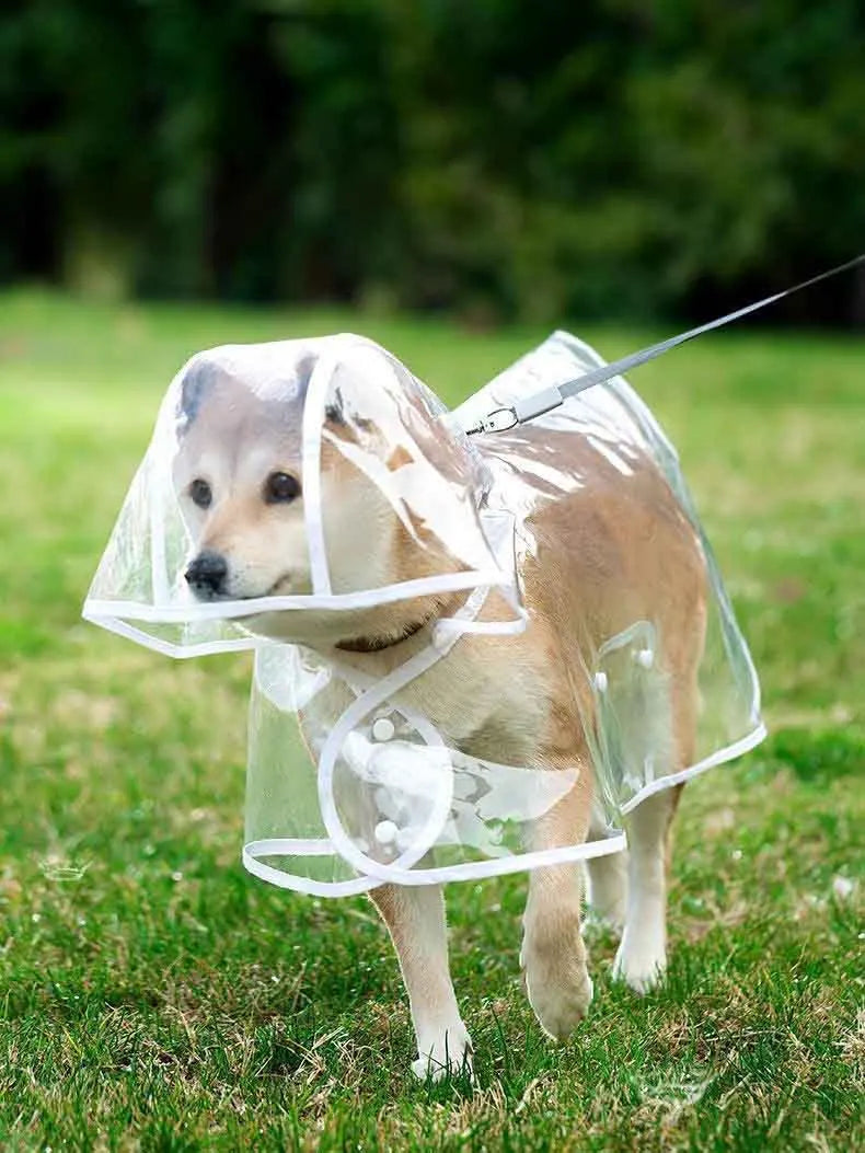 Transparent Waterproof Dog Raincoat With Hat