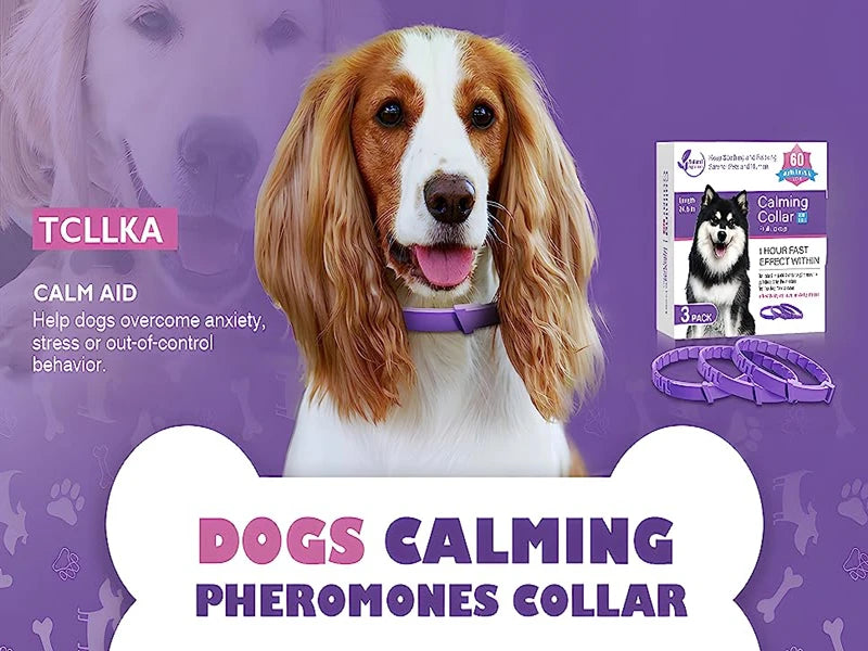 Dog Cat Calming Collar For Anxiety Relief Breakaway Quick Release