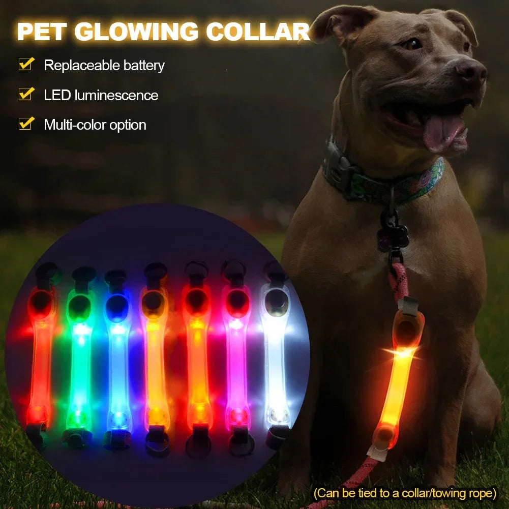 Waterproof Dog Anti Lost Safety Glowing Collar With LED Light
