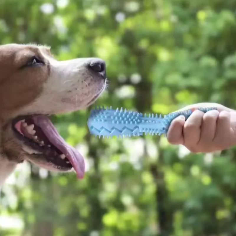 Nylon Dog Teething Chew Stick Bite Resistant Waterproof Dental Cleaner