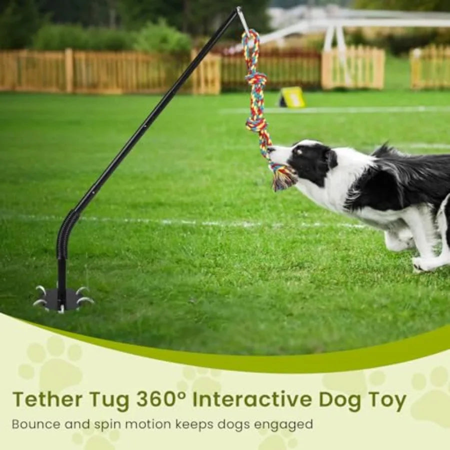 Yao Hui Huang Tether Tug Outdoor Dog Toy With Chew Rope Interactive