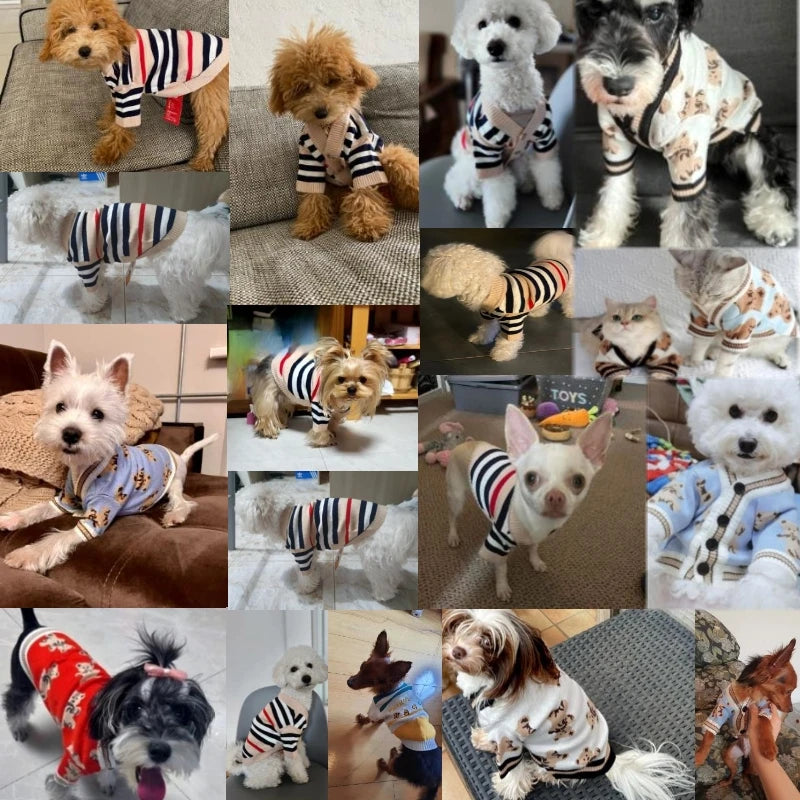 Striped Cotton Cardigan Sweater For Small Dogs And Kittens