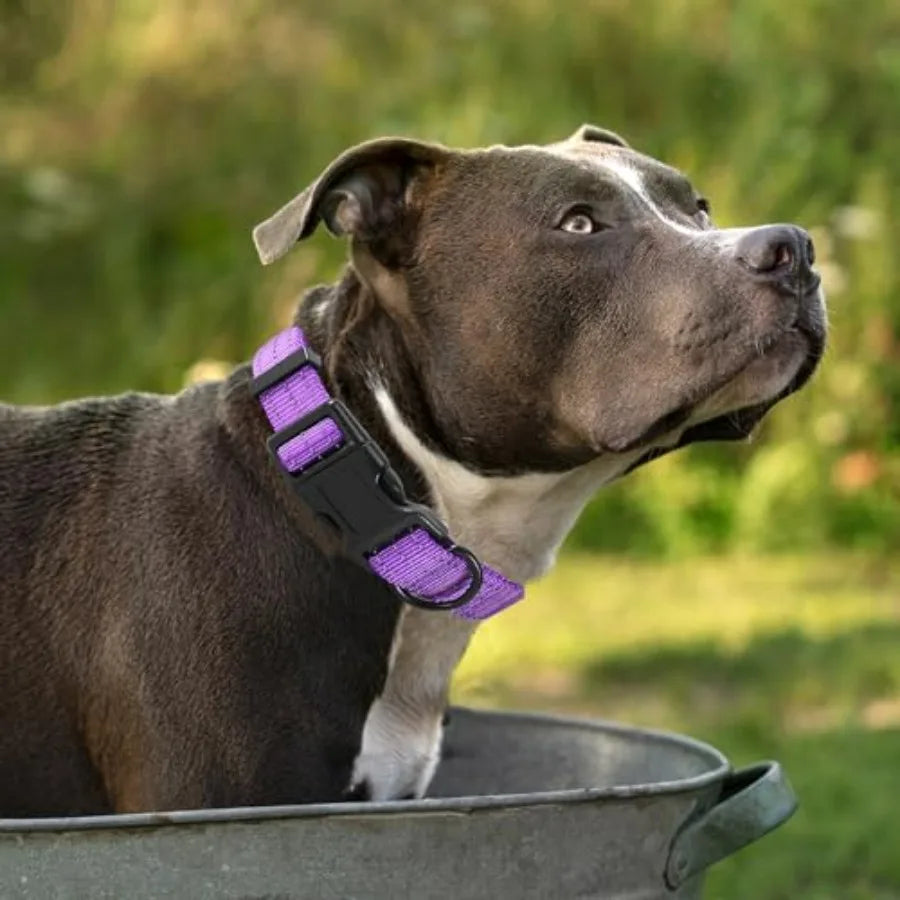 Night Nylon Double Adjustable Puppy Harness Collar Leash Set