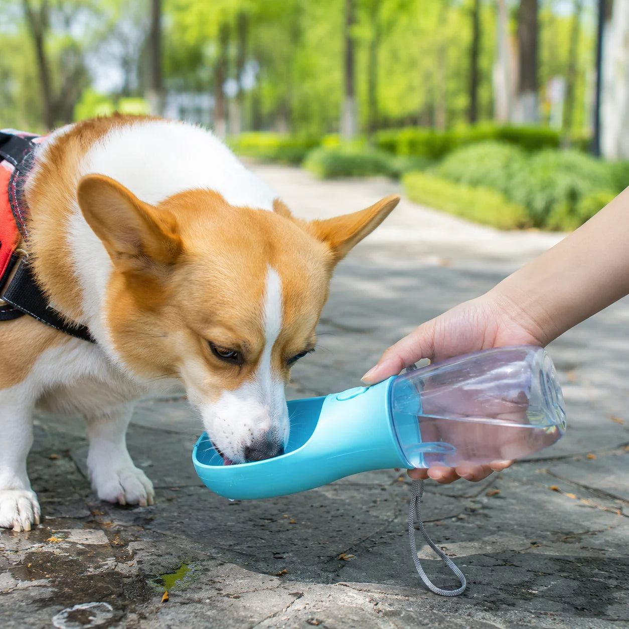 Portable Dog Water Bottle With Food Dispenser 3 In 1