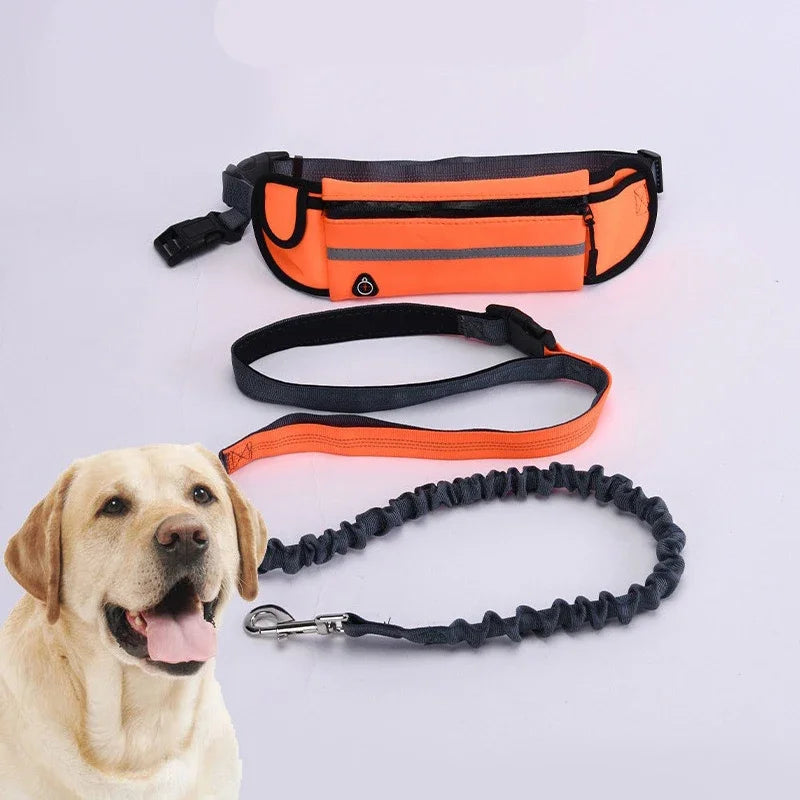 Hands Free Dog Leash With Reflective Waist Bag Retractable Belt