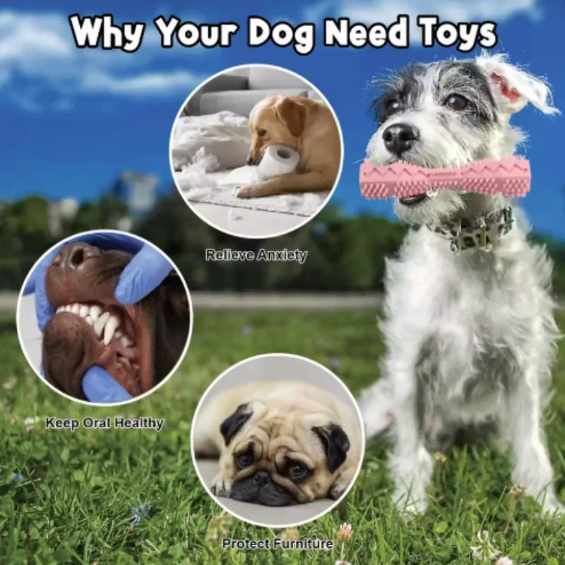Nylon Dog Teething Chew Stick Bite Resistant Waterproof Dental Cleaner