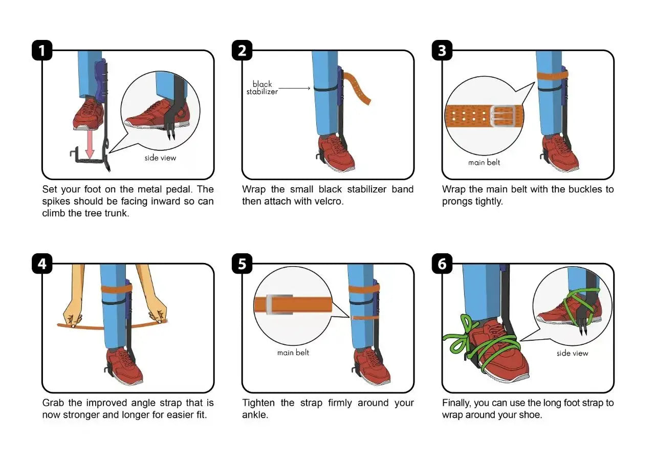 Professional Tree Climbing Spikes Kit With Safety Harness Capacity 220lbs