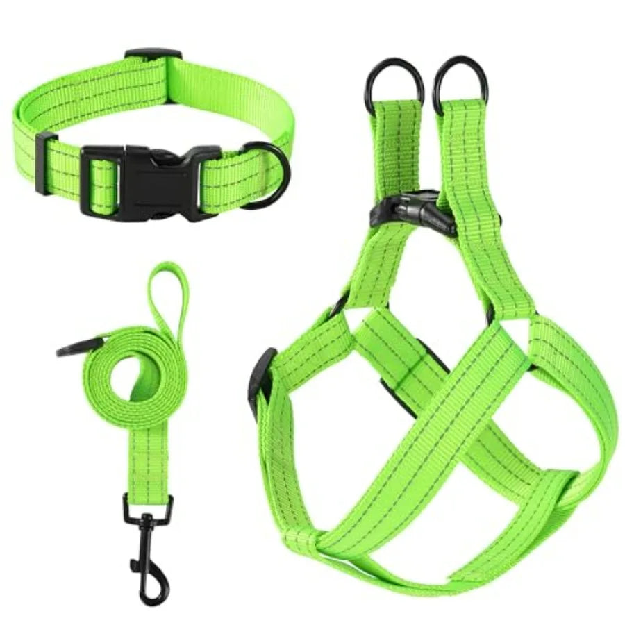 Night Nylon Double Adjustable Puppy Harness Collar Leash Set