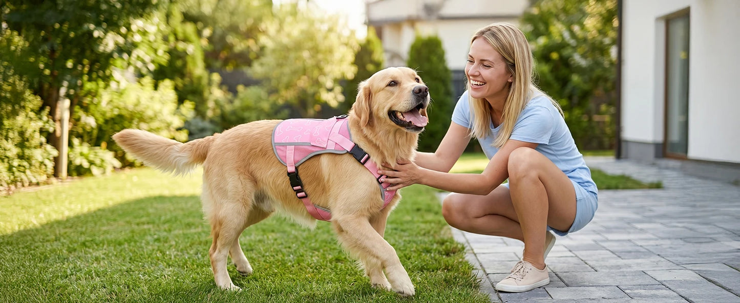 Cooling Vest For Dogs With Replaceable Cooling Packs, Lightweight