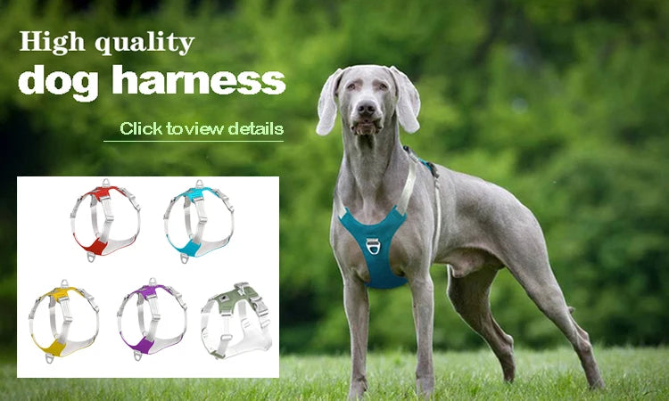 Retractable Nylon Dog Leash With Reflective Feature