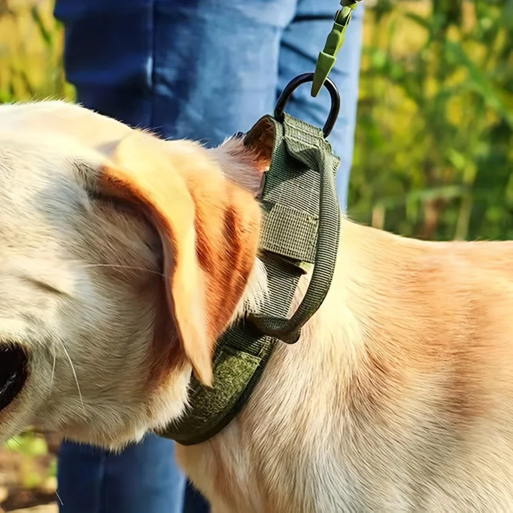 Dog Training Collar And Leash Set With Adjustable Control Handle