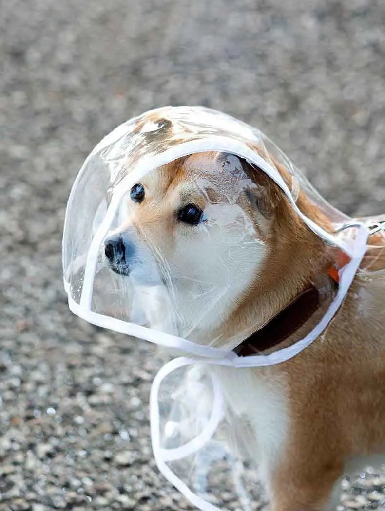 Transparent Waterproof Dog Raincoat With Hat