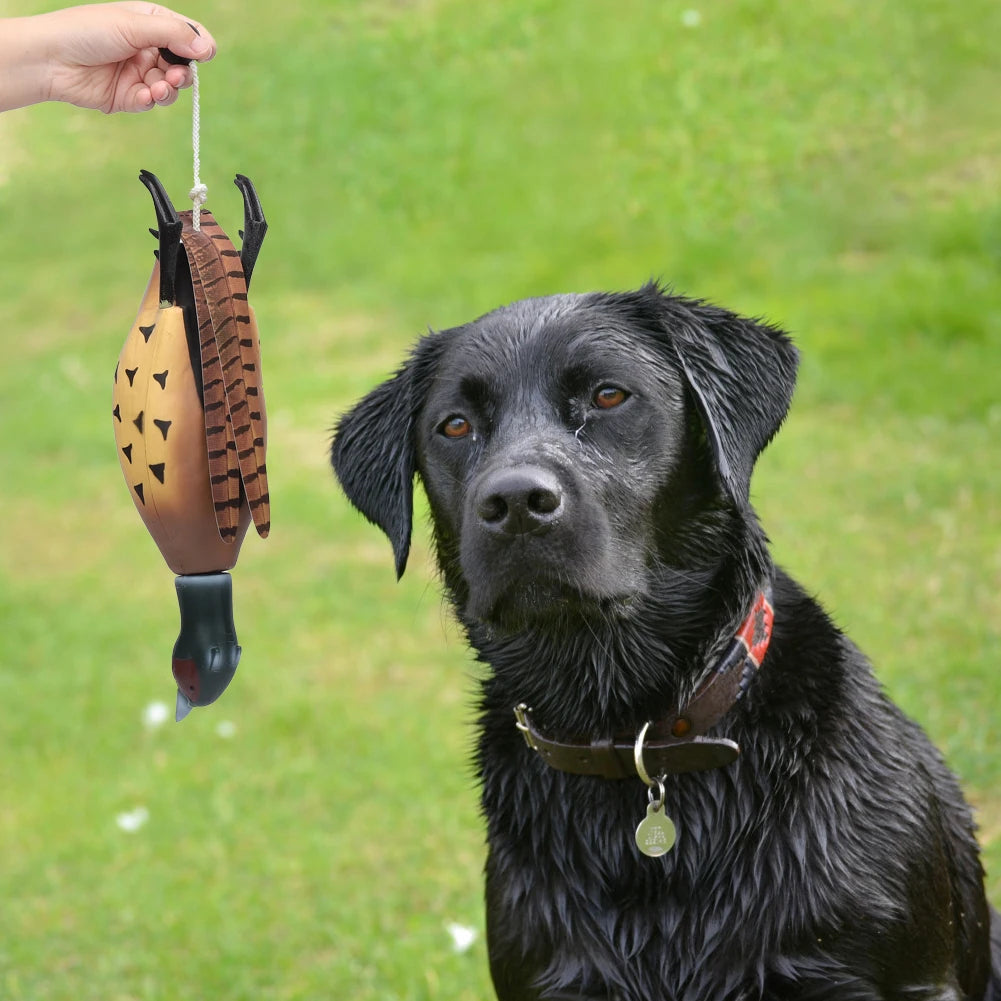 HiMISS Pheasant Dummy Bumper Toy for Retriever Training and Duck Recognition