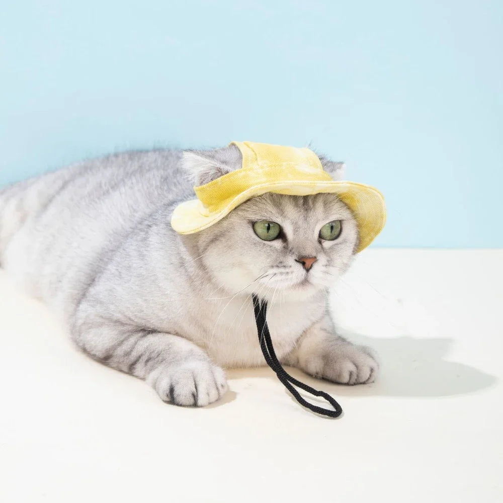 Pet Hat With Ear Holes Adjustable Baseball Cap For Dogs And Cats