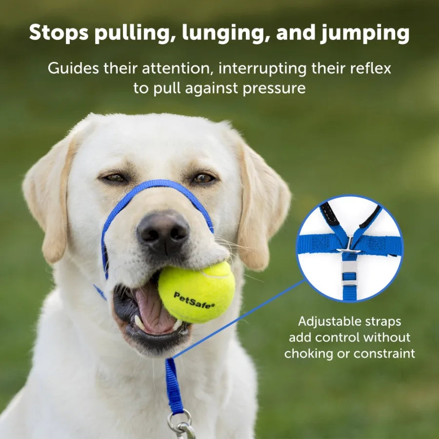Gentle Leader Headcollar No Pull Dog Collar For Gentle Training