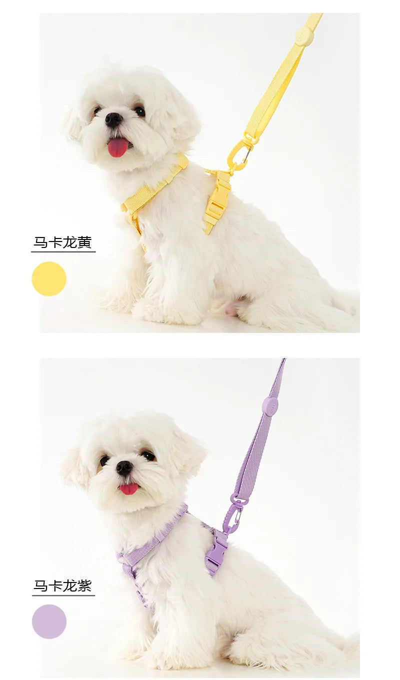DKSTINYE Adjustable Puppy Harness Set With Reflective Collar And Leash