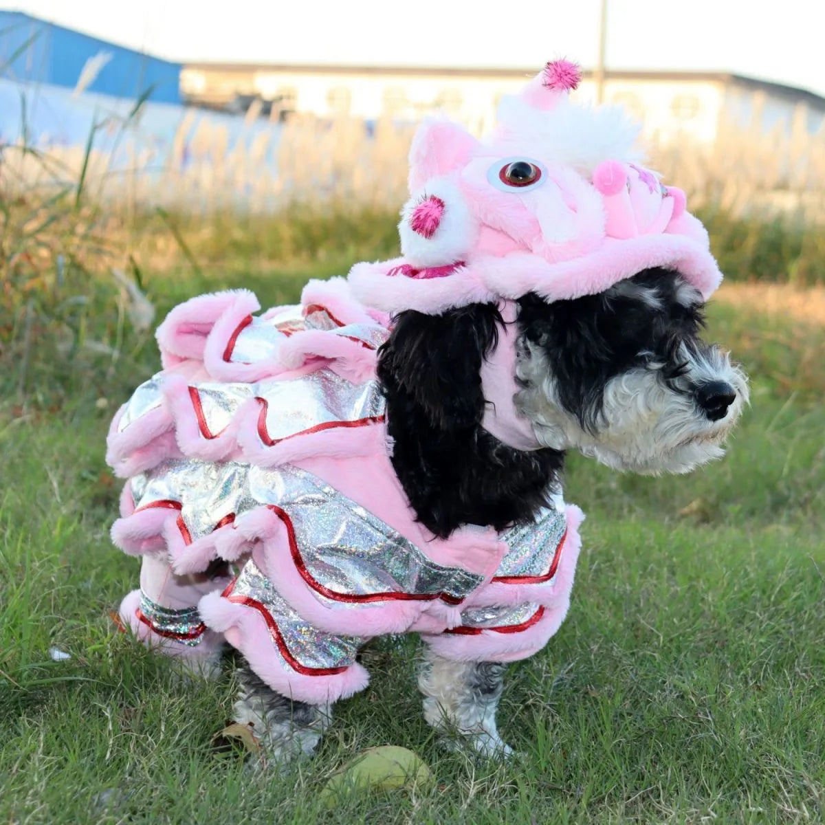 2026 Costume Lion Dance Dog And Cat Spring Festival Dog Costume Chinese New Year Role Play Puppy Pet Chihuahua Puppy Costume