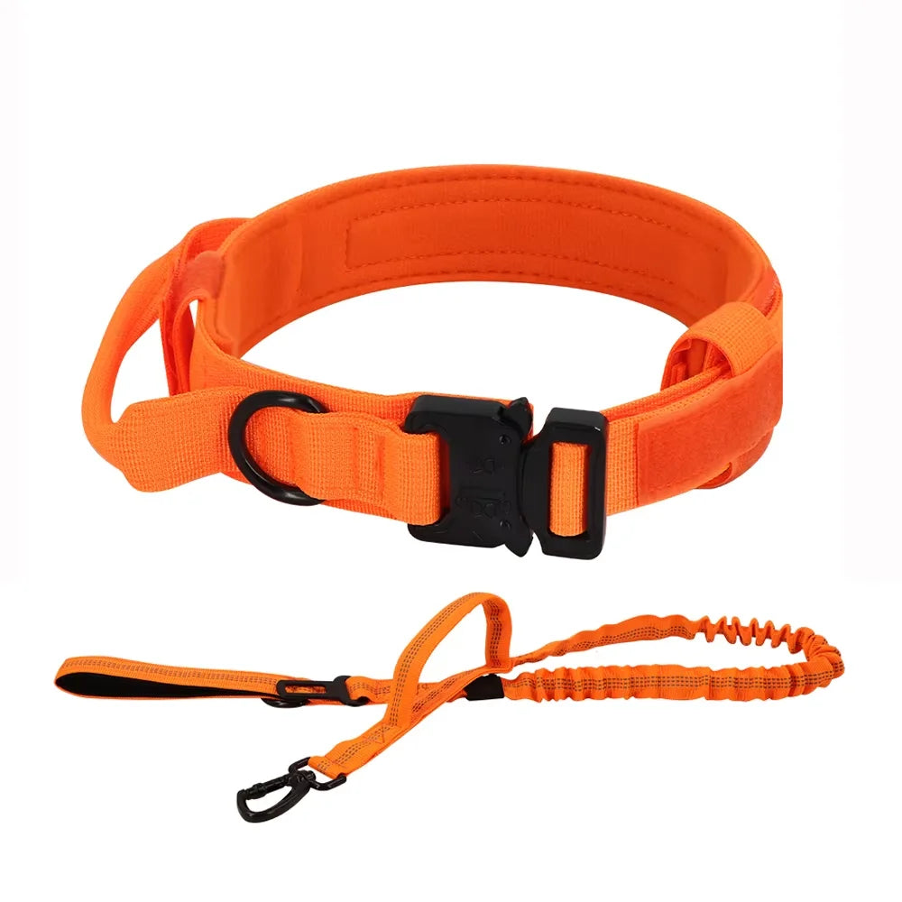 Dog Training Collar And Leash Set With Adjustable Control Handle