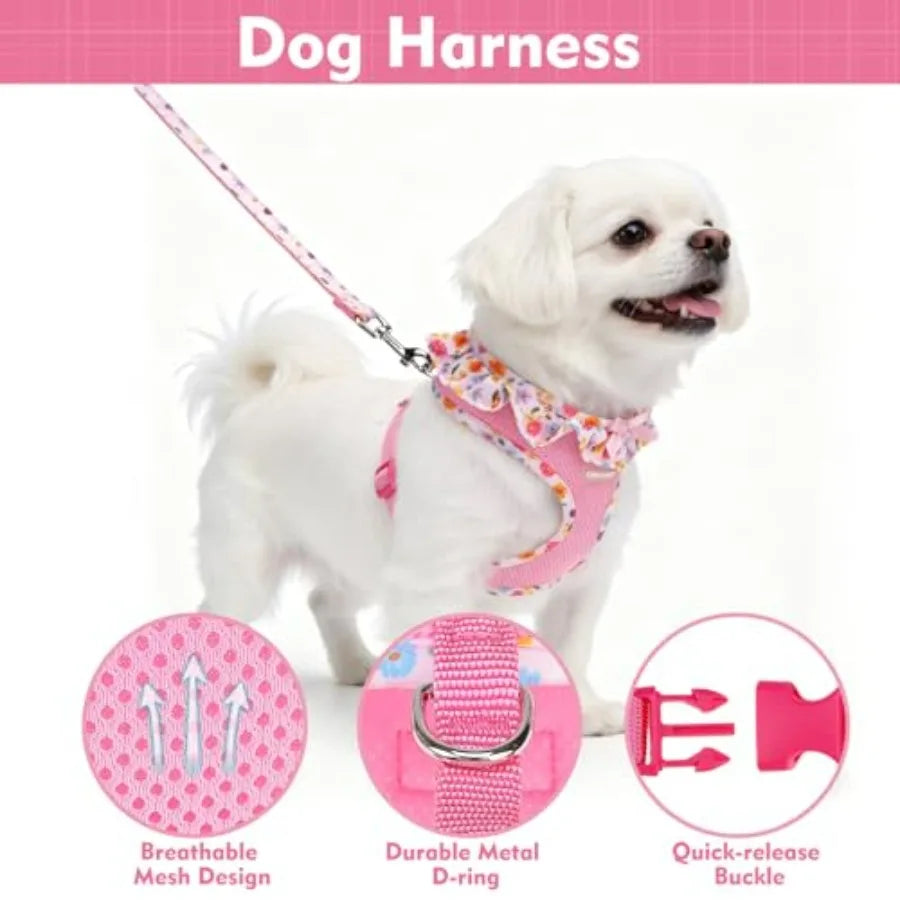 Dog Harness Leash Set Step In Adjustable NoChoke Mesh Vest
