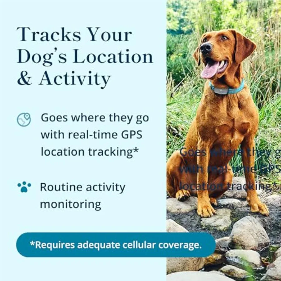 Purina Dog GPS Tracker Waterproof Real-Time Tracking Collar