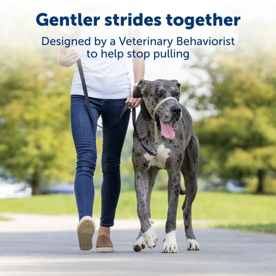 Gentle Leader Headcollar No Pull Dog Collar For Gentle Training