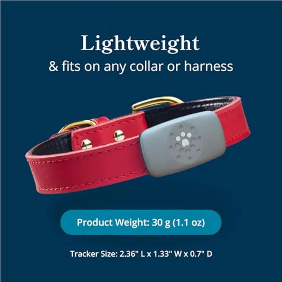 Purina Dog GPS Tracker Waterproof Real-Time Tracking Collar
