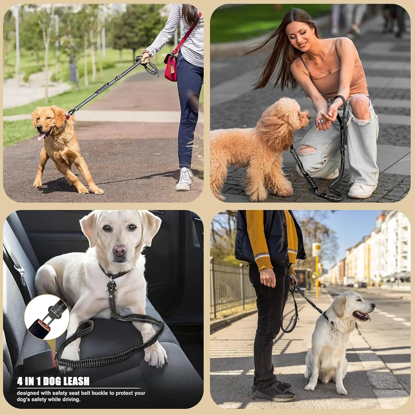 DCLOUD Reflective Shock Absorbing Dog Leash With Car Seatbelt