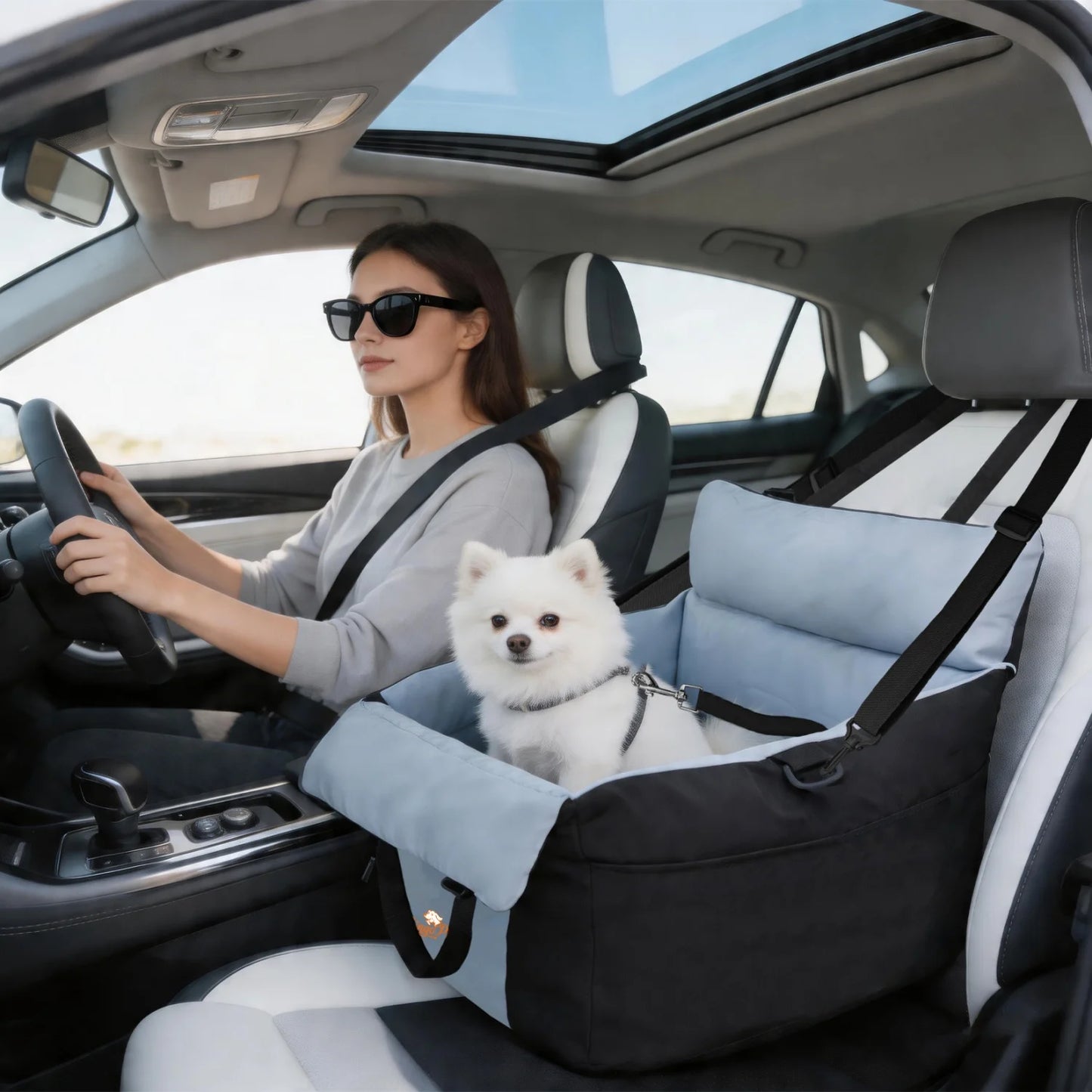 BINGOPAW Dog Car Seat For Small Dogs Washable Booster Carrier With Safety Belt