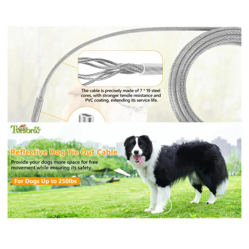 Double Headed Stainless Steel Dog Tie Out Cable Leash With Metal Buckle