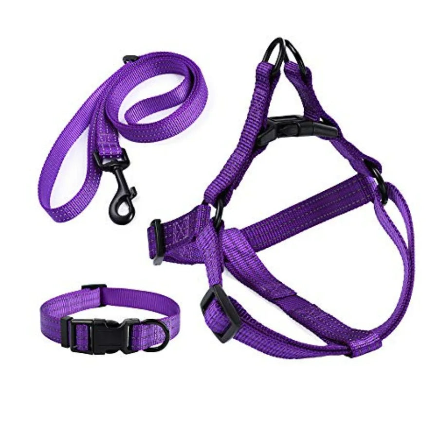 Night Nylon Double Adjustable Puppy Harness Collar Leash Set