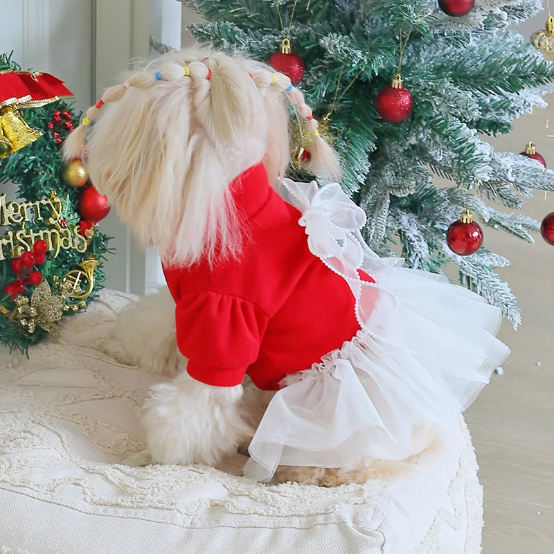 Christmas Checker Dog Dress From Pawstrip
