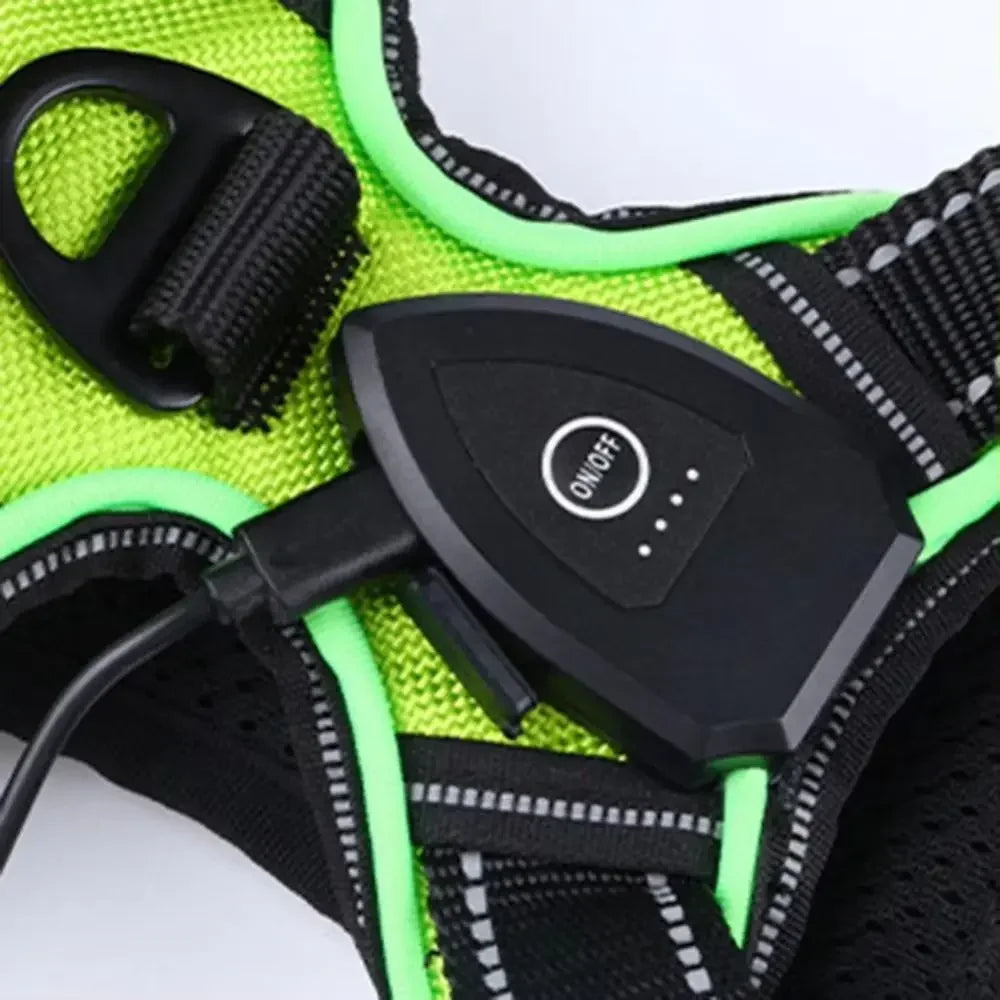LED Light Up Dog Harness With Adjustable Rechargeable Battery