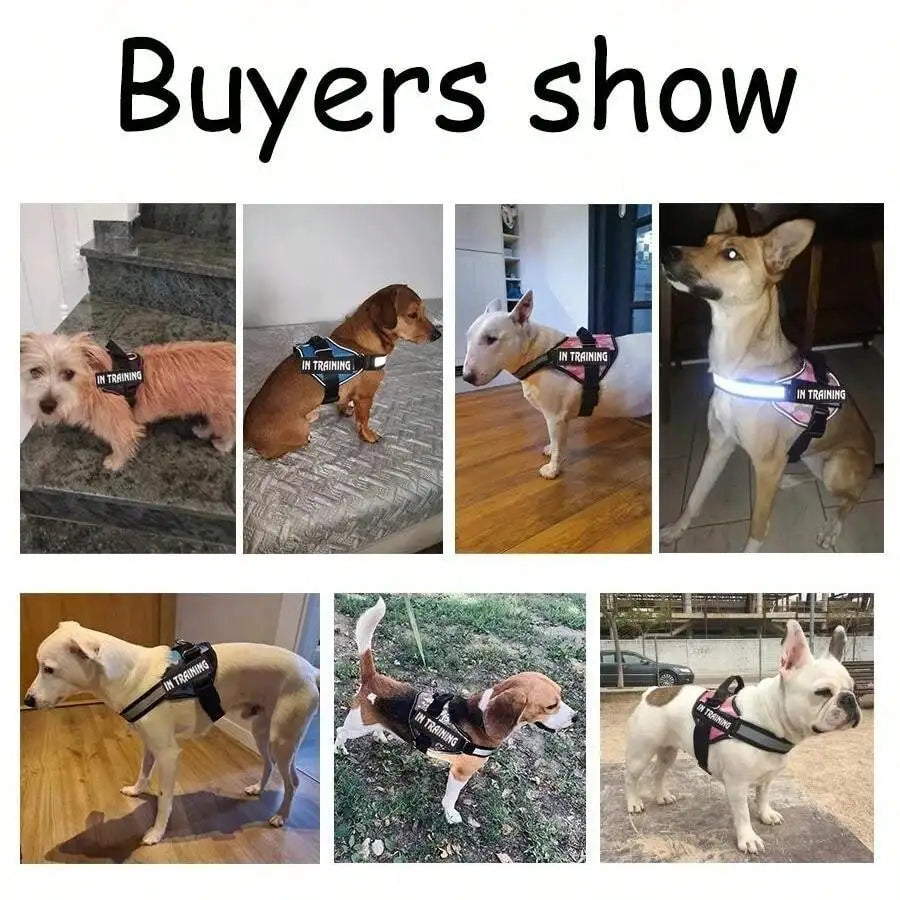 Reflective No Pull Dog Harness With Easy Control Handle