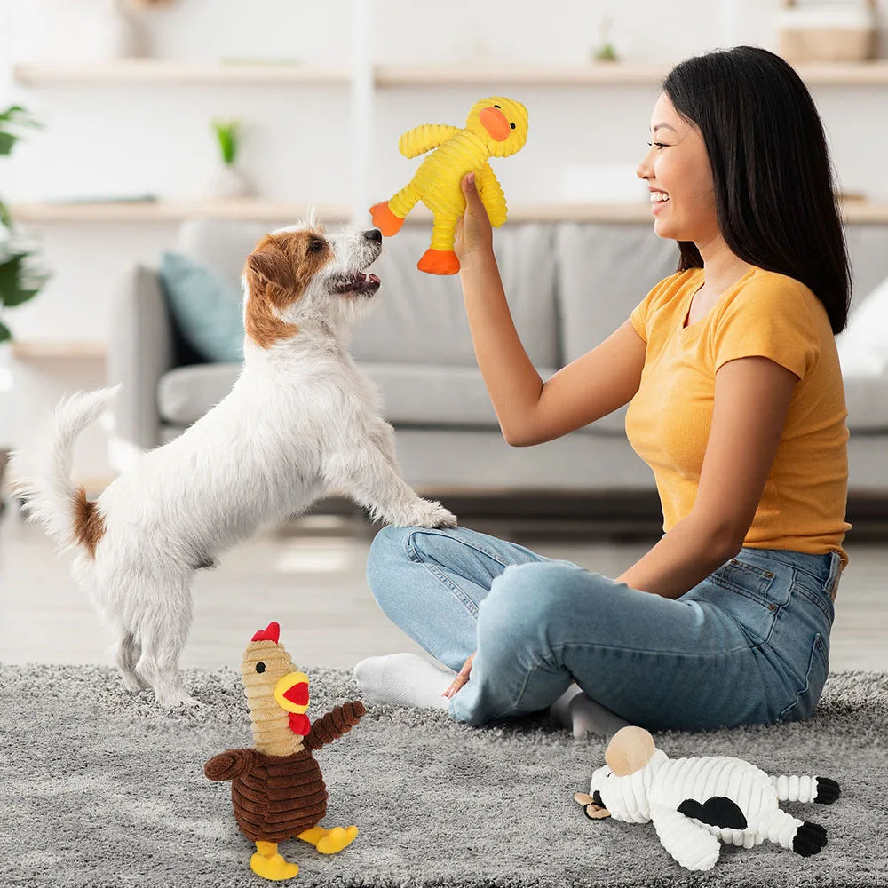 5 Pack Plush Squeaky Dog Toys Chew Bundle Value Collection