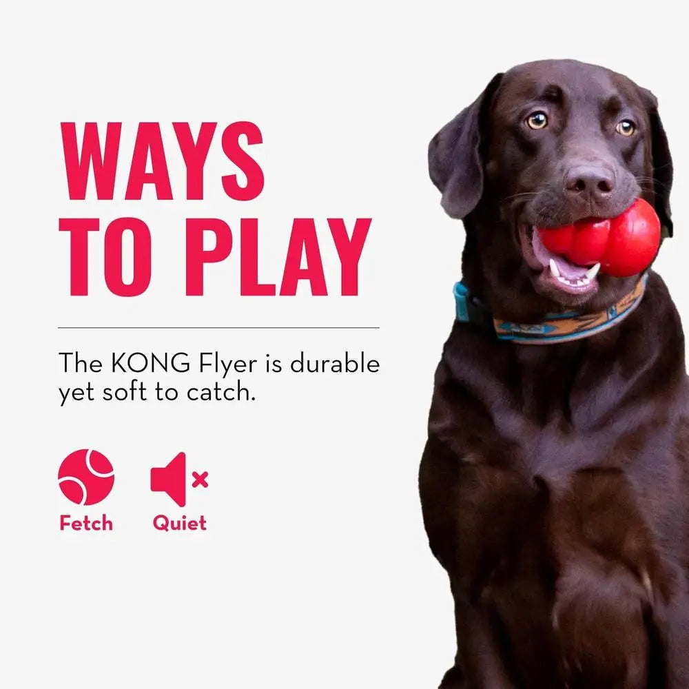 Durable Natural Rubber Disc Dog Toy For Medium And Large Dogs